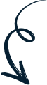 Vector-1.png